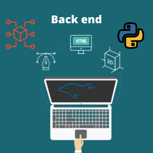 web developer