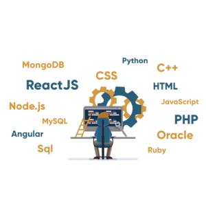 web development