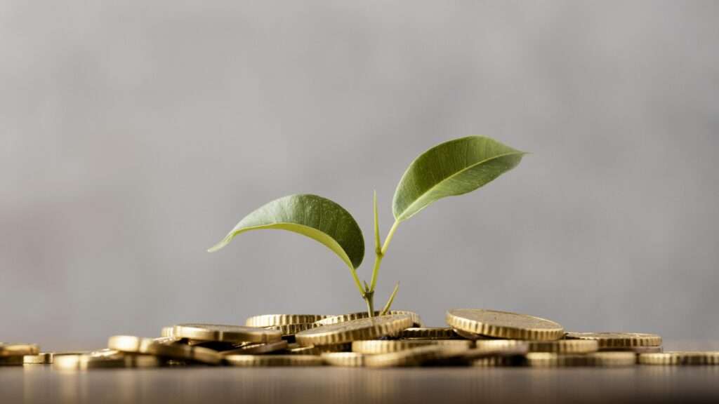 5 jenis Investasi yang Populer di Indonesia